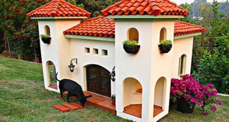 Como Construir uma Casinha de Cachorro